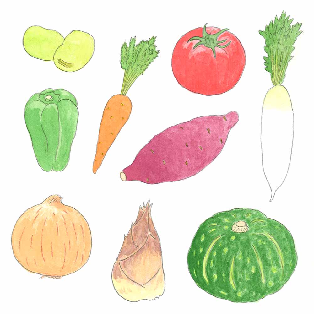 手描きの野菜のイラスト